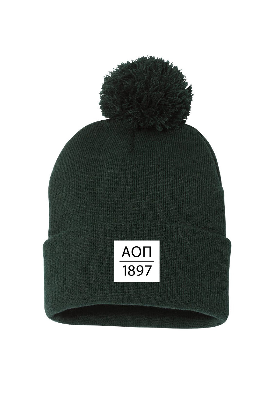 Established Beanie